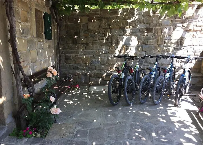 Apartments Padna Goja