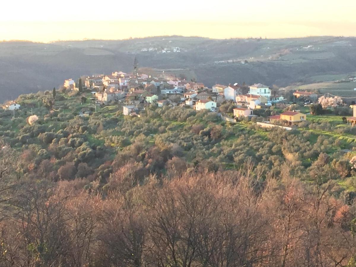 Goja * Padna
