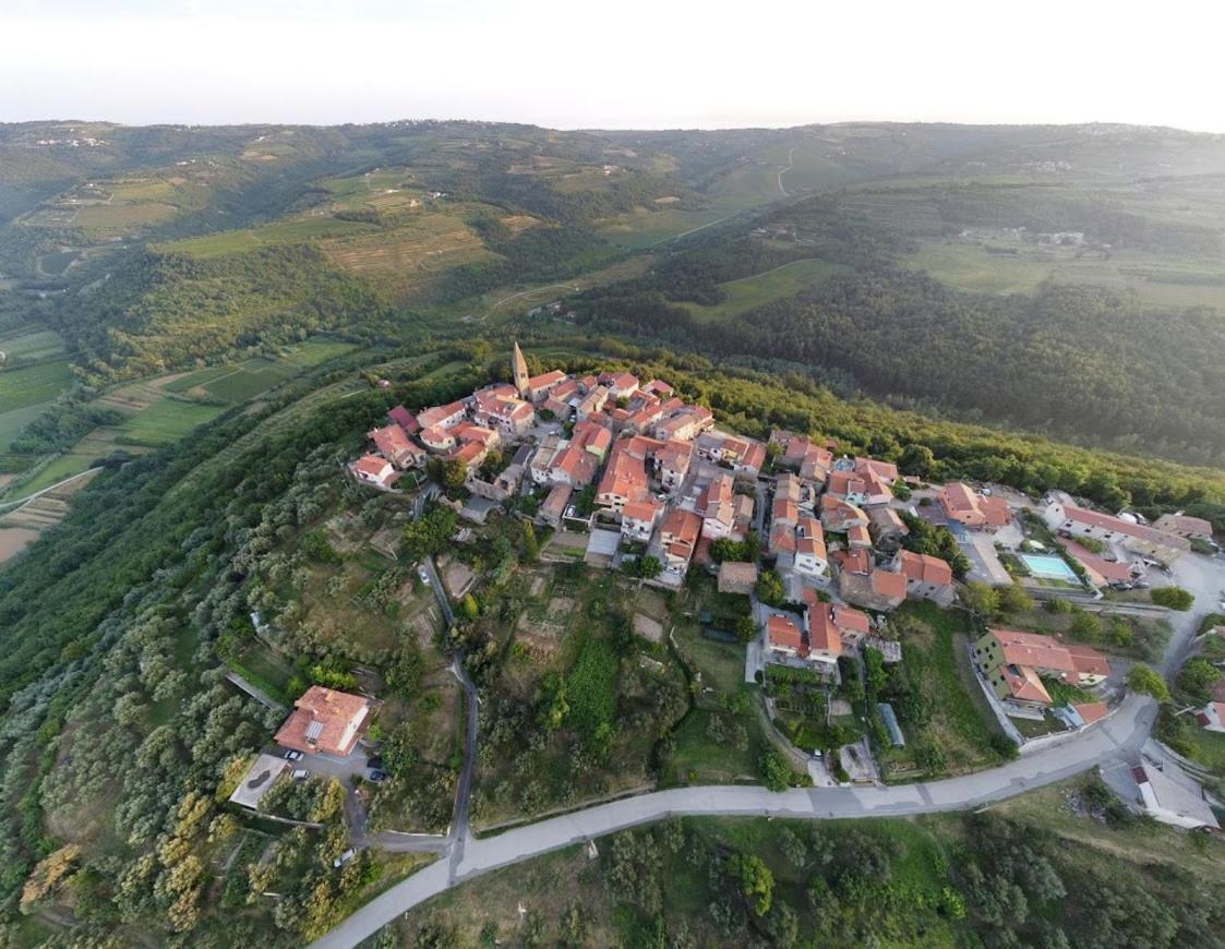 Appartement Goja Padna