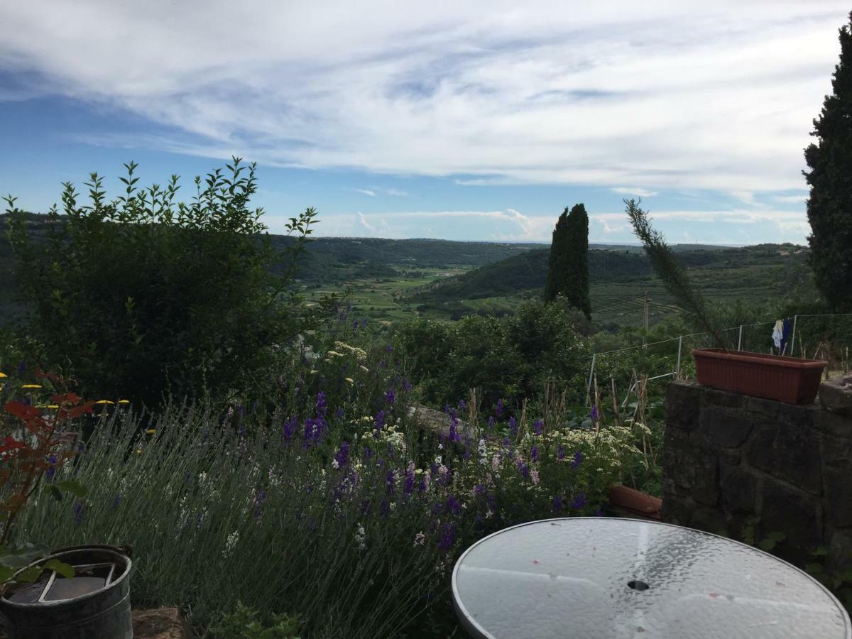 Goja Appartement Padna